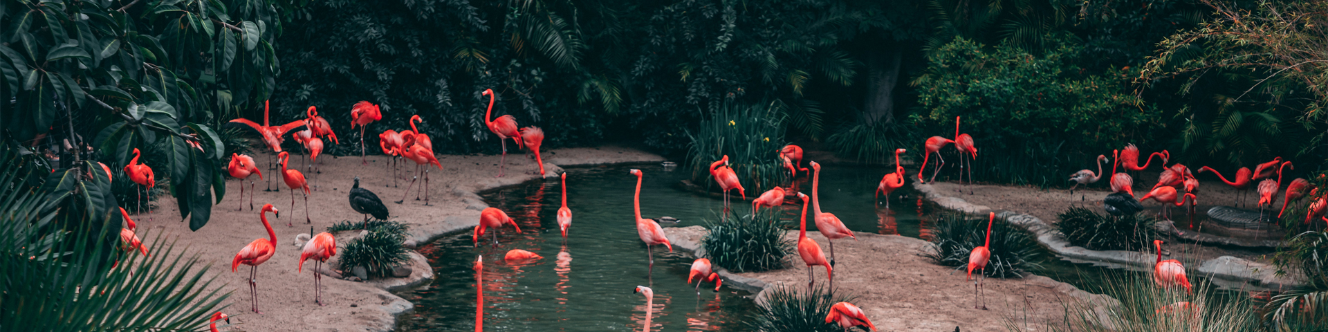 西藏悦游者旅行社有限公司驻马店第二网点